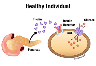 Insulin absorption in Healthy Individuals 