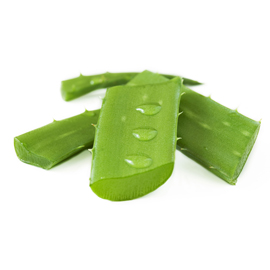 Soothe the Burn of GERD in Albany or Macon with Aloe Vera